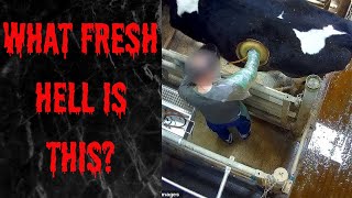 What The DAIRY Industry Doesn't Want You To Know 👿1 (Grisly Secret) #DairyIsScary #Shorts