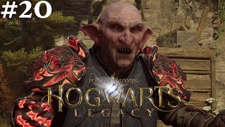 Hogwarts Legacy #20 || PS4 || Have You Not Acquired Enough Power Here?