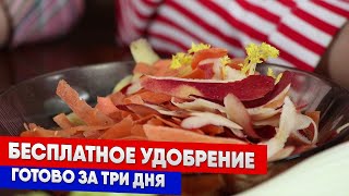 Бесплатное удобрение - готово за три дня