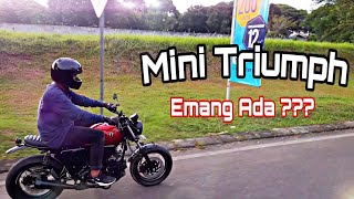 MINI TRIUMPH BASIC HONDA KARISMA by BRILLIANT CUSTOM #alvlog183