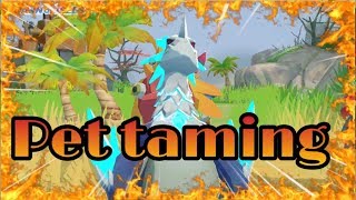 HOW TO TAME A PET || DAWN OF ISLES