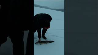 Вот такая щучка  #youtubeshorts #карелияжизнь #рыбалка #карелия #fishing #щука