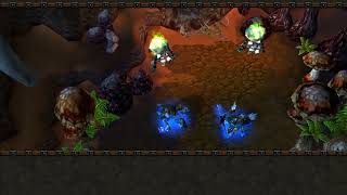 Warcraft III Custom campaign - Book of Rexxar - Drums of War part 5 Valley of Yarrog Baneshadow