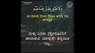 Surah Al-An'aam 6: Verse 38 Kannada and English translation_ Raad Al Kurdi