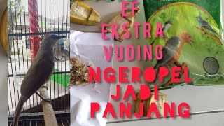 Cara Mudah Buat Trucuk Ngeropel Panjang dengan EF