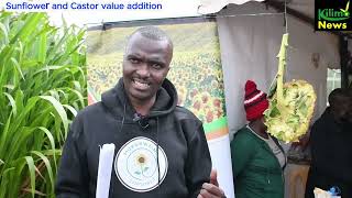 Sunflower and Castor value addition in Nyeri