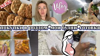 VLOG: Бюджетное ПЕЧЕНЬЕ/Моя ЗАМОРОЗКА/Покупки в РОДДОМ/ Неожиданный ГОСТЬ