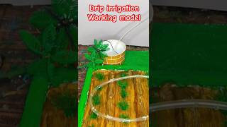 Drip irrigation working model | science project #scienceproject #project #science