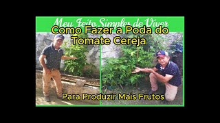 #como  Fazer a Poda do #tomate  Cereja ,#tecnica  para #produzir  mais #frutos .