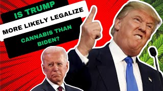 Is Trump more Likely to Legalize Cannabis than Biden?