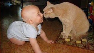 When cats and babies become first friends 👶❤️🐱Cute Cats and Little Human