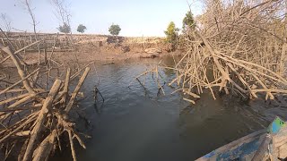 cara mancing muara umpan udang hidup