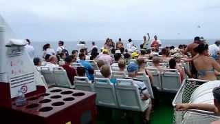 Royal Dolphin walk thru boat tout - Atlantic Ocean 07 - 2014