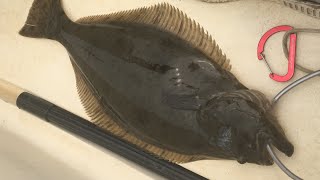 Halibut: Catch, Clean, + COOK! (Humboldt Bay, California)