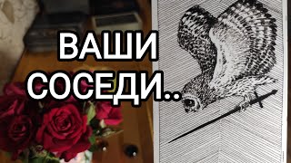 🍀Таро расклад🍀ВАШИ СОСЕДИ🧐🤯🤔🧟