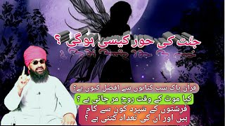 جنّت کی حور کیسی ہوگی / وہ اسلامی سوالات جن کے جوابات آپ کے لۓ بیحد ضروری ہیں | Allama Abid Ali