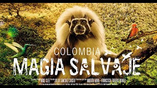 Colombia Magia Salvaje (Magic Wilderness)