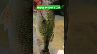 #mothersday #mom #family #happy #fishing #catchandrelease #shorts #beautiful #amazing #mother