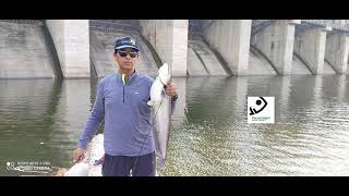 Fishing trip to Yellampalli Project on River Godavari, Telangana