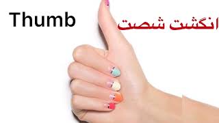 آموزش زبان كاربردي |english language