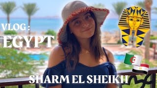 شربت كأس شاي في وسط صحراء شرم الشيخ ! 😍VLOG SHARM EL SHEIKH 🇪🇬