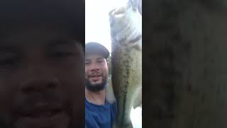 Caught a BIG BASS off the bed! #shorts #fishing #bassfishing #bass #spawning #outdoors #6thsense