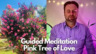 GUIDED MEDITATION 432Hz ⎮ PINK TREE OF LOVE & HEALING ⎮ TO FIND PEACE WITHIN