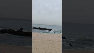 EI Porto beach in portugal 🇵🇹🇵🇹🇵🇹#shorts #youtubeshort #trendingshorts #somghale #youtube