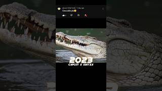 5000 bce Crocodile 🐊🐊 vs 5000 bce Crocodile 🐊🐊 #shorts #viral