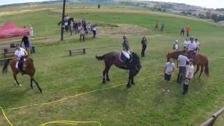 Hera la Cupa IL CAVALINO 2016