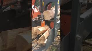 Full process of fire wood cutting #cutting #amazing #trending #short #ytshorts