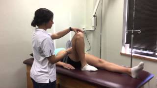 Knee Flexion ROM