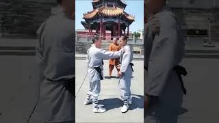 Shaolin Monk Training Unveiled 🥋✨| Shaolin Monk Training #shorts​ #monk​ #training​ #kungfu​