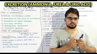 Excretion & its role in Homeostasis: Types of Nitrogenous wastes, Ammonia, Urea & Uric acid