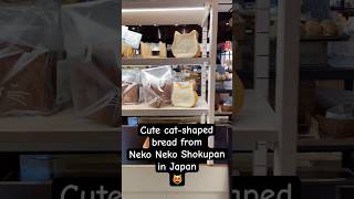 😸Cat-shaped bread from Neko Neko Shokupan, a bakery in Japan #shorts #bread #catlovers #bakeryjapan