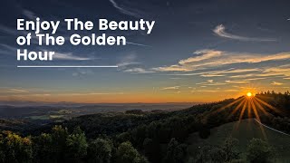 Forest Golden Hour: A Symphony of Light and Nature #GoldenHour #ForestMagic #NatureLovers