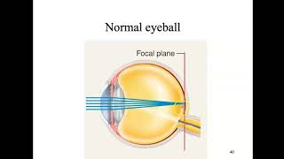 Bio4_Module10_Ch17_Senses 8