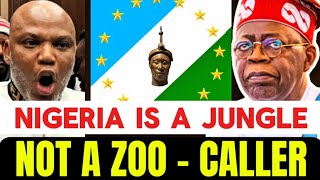 Nigeria Is A Jungle Not A Zoo - Caller