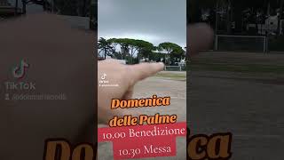 https://www.donboscoformia.it/settimana-santa-2024/