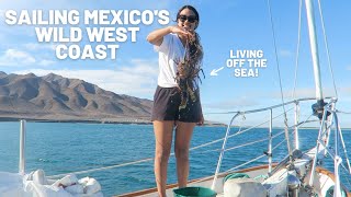 Living Off The Sea. Sailing Mexico's WILD West Coast & Making Our Way To Cabo San Lucas. [Ep.5]