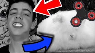 RANDOM CHALLENGES | Chubby Bunny,Cringe,Cold Bunny,Licking a fidget spinner and MORE!