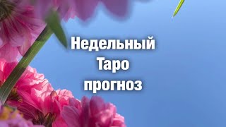 Недельный Таро прогноз 2.10 -8.10 2023