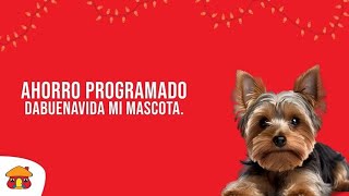 Marco Agüero, ¿Qué es Ahorro Programado Dabuenavida Mi Mascota?