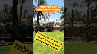 מה אתם יודעים על אילת? עונים על החידון השבועי ונכנסים להגרלת פרסים שאסור לפספס כל מה שטוב באילת