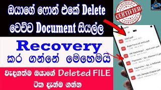 How To Recovery Deleted All Document In Sinhala | Sri Network