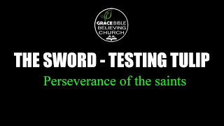 The Sword, Testing Tulip -  Perseverance of the saints