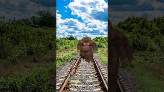 Gata_5_bigfoot_yeti_magic_kinemaster_editing_short_video_#youtube(360p)