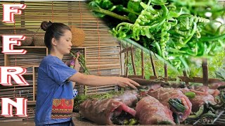 Fern - Favorite food of the people in the mountains