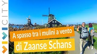 Zaanse Schans e i mulini a vento, a 2 PASSI da Amsterdam! 🌻