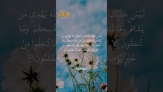 تلاوة جميلة من سورة البقرة الآية 272 بصوت القارئ مشاري راشد العفاسي #حالات #فولو #quran #shorts